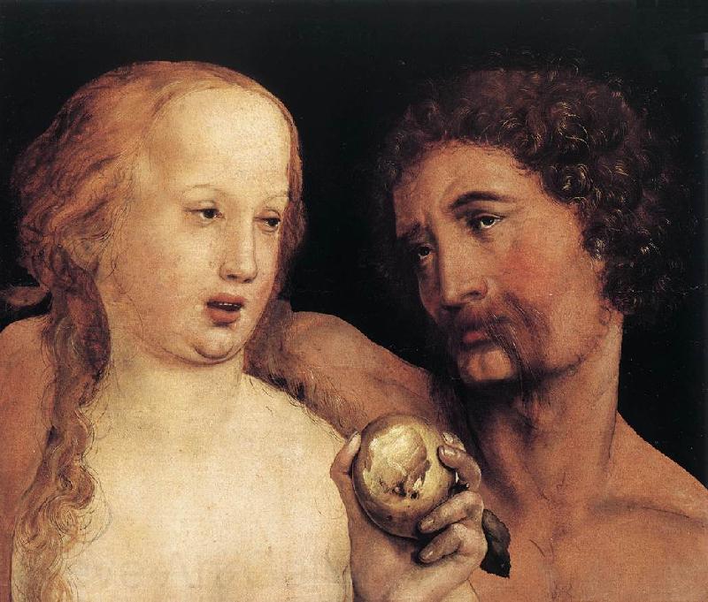 HOLBEIN, Hans the Younger Portrait of Benedikt von Hertenstein af Spain oil painting art